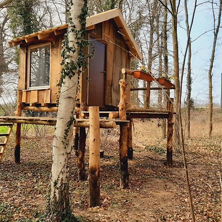 ホテル Baumhausnaechte Ladbergen エクステリア 写真