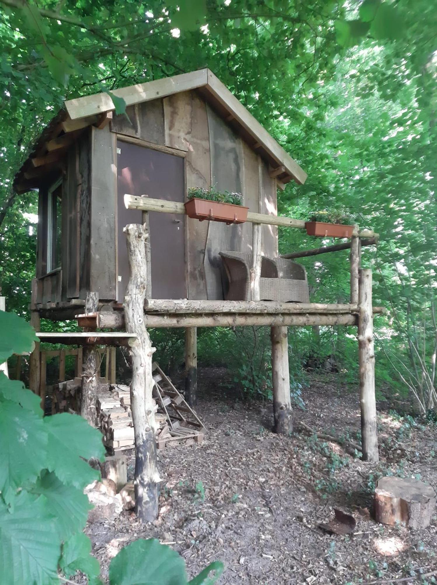 ホテル Baumhausnaechte Ladbergen エクステリア 写真
