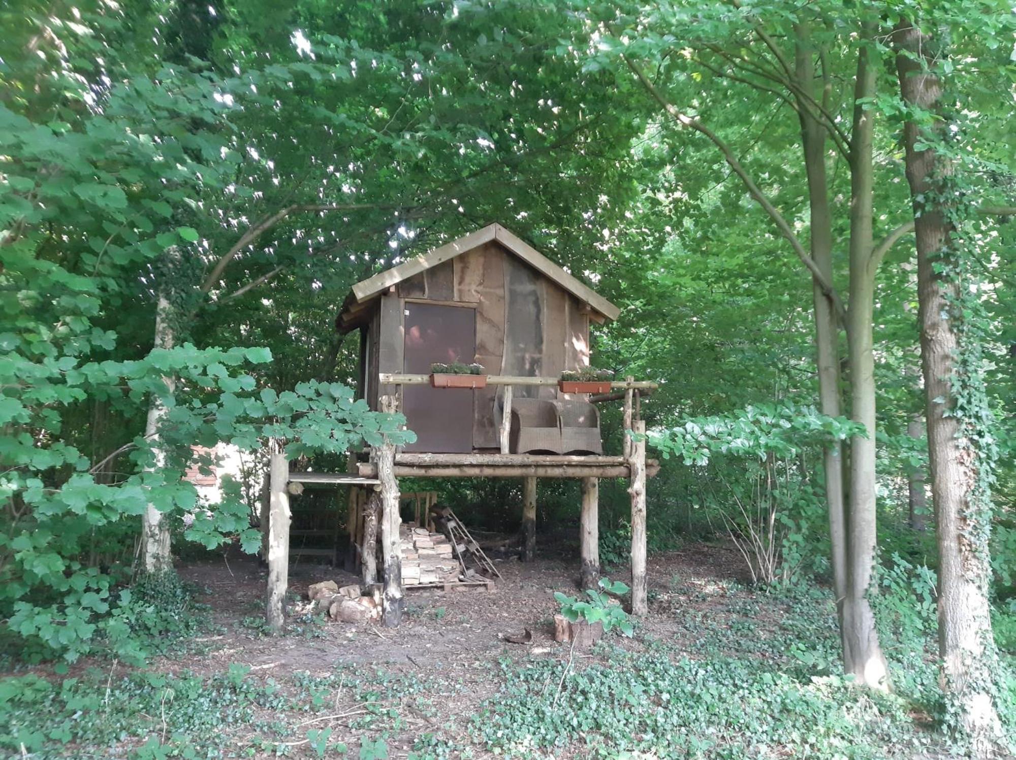 ホテル Baumhausnaechte Ladbergen エクステリア 写真