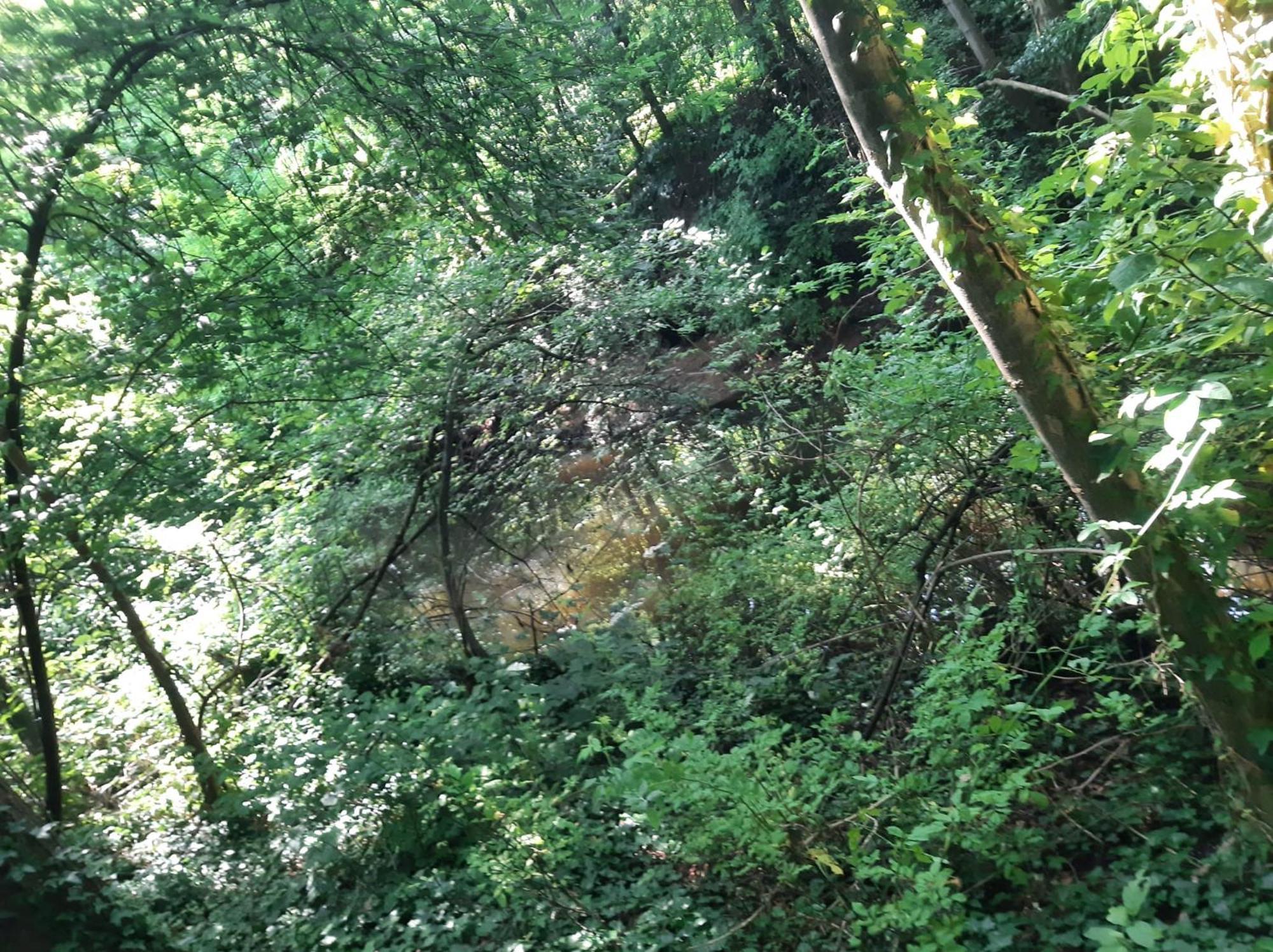 ホテル Baumhausnaechte Ladbergen エクステリア 写真